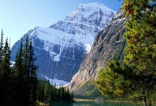 16个宝藏工具网站，全部免费！