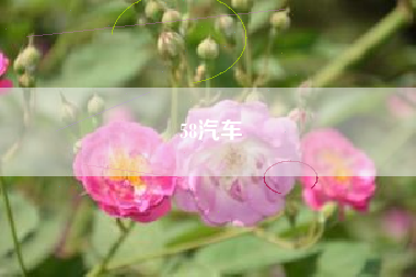 58汽车