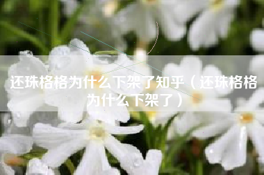 还珠格格为什么下架了知乎（还珠格格为什么下架了）