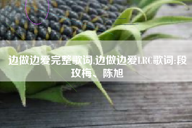边做边爱完整歌词,边做边爱LRC歌词:段玫梅、陈旭