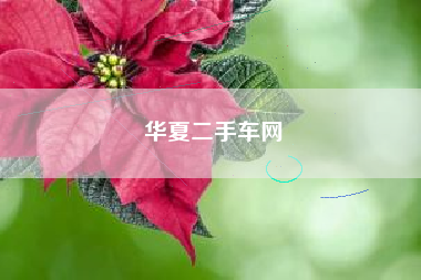 华夏二手车网