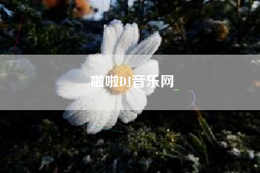 啦啦DJ音乐网