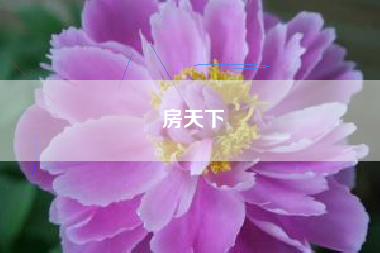 房天下
