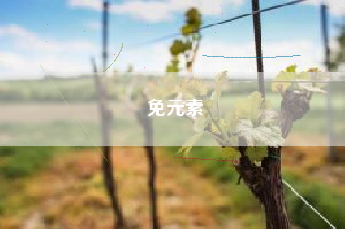 免元素