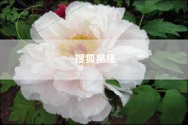搜狐星座
