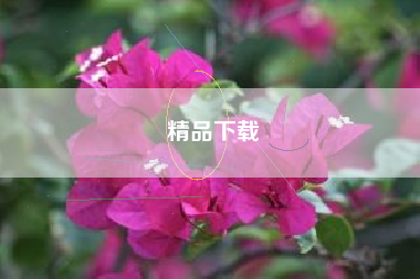 精品下载