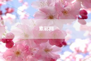 素彩网