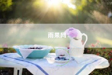 雨果网