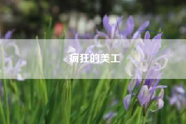 疯狂的美工