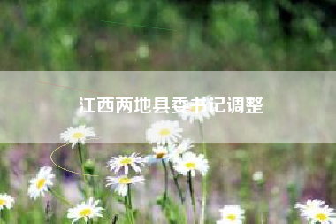 江西两地县委书记调整