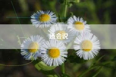 适会说