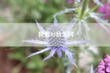 我爱DJ音乐网