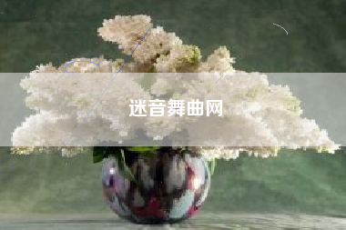 迷音舞曲网