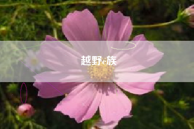 越野e族