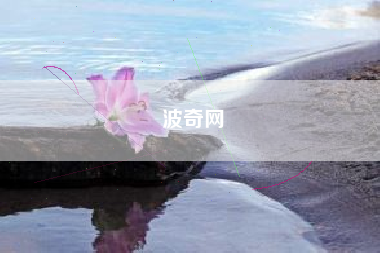波奇网