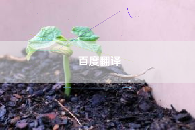 百度翻译