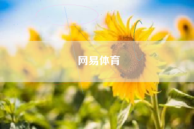 网易体育