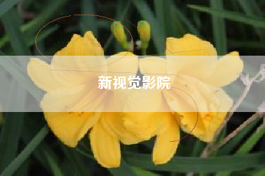 新视觉影院