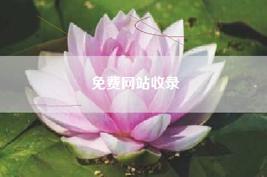 免费网站收录