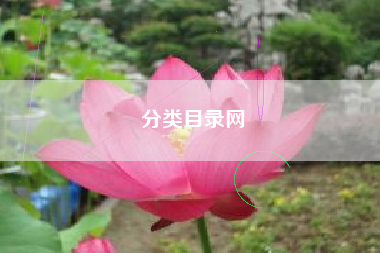 分类目录网