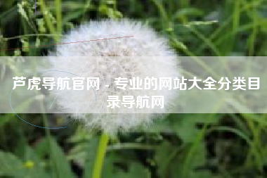 芦虎导航官网 - 专业的网站大全分类目录导航网