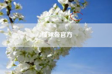 懂球帝官方