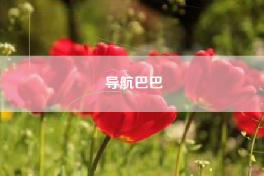 导航巴巴