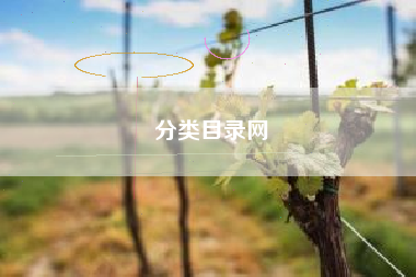 分类目录网