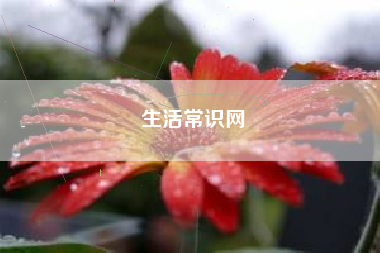 生活常识网