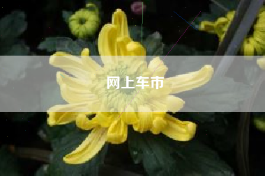 网上车市