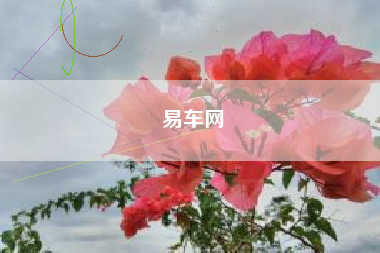 易车网