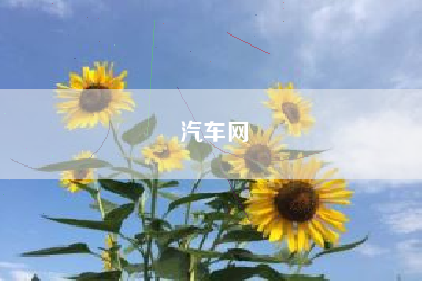 汽车网
