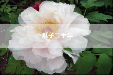 瓜子二手车