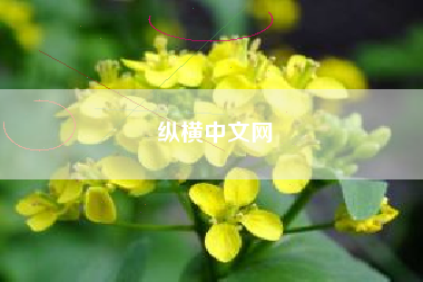 纵横中文网