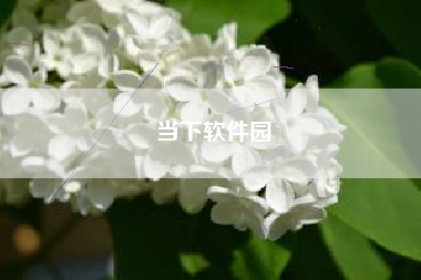 当下软件园