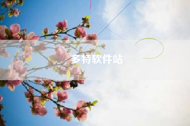 多特软件站