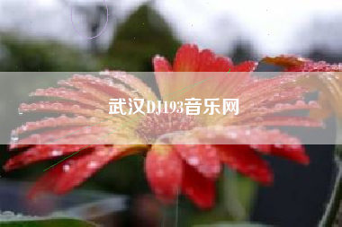 武汉DJ193音乐网