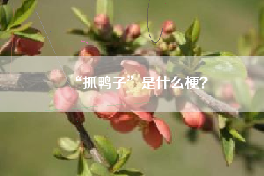 “抓鸭子”是什么梗？
