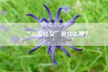 “siri型社交”是什么梗？