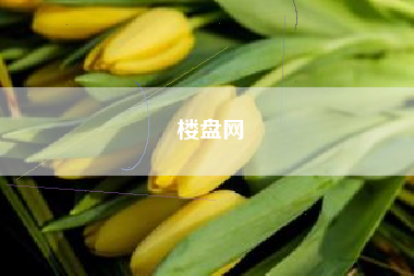 楼盘网