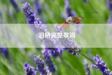 泪桥完整歌词