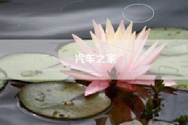 汽车之家