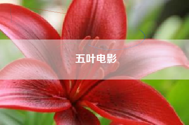 五叶电影