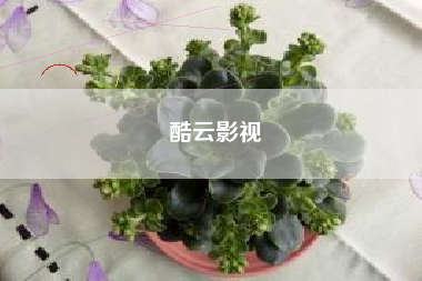 酷云影视