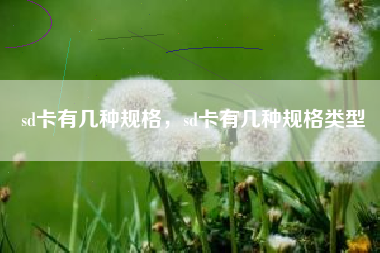 sd卡有几种规格，sd卡有几种规格类型