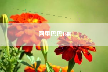 阿里巴巴1688