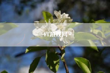 FT游戏网