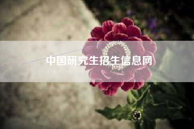 中国研究生招生信息网