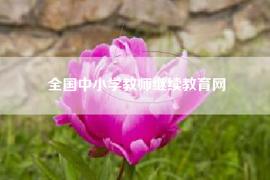 全国中小学教师继续教育网