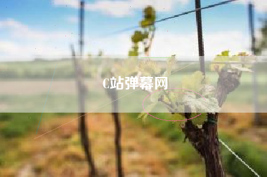 C站弹幕网